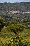 Les Tournels, Blick auf Ramatuelle